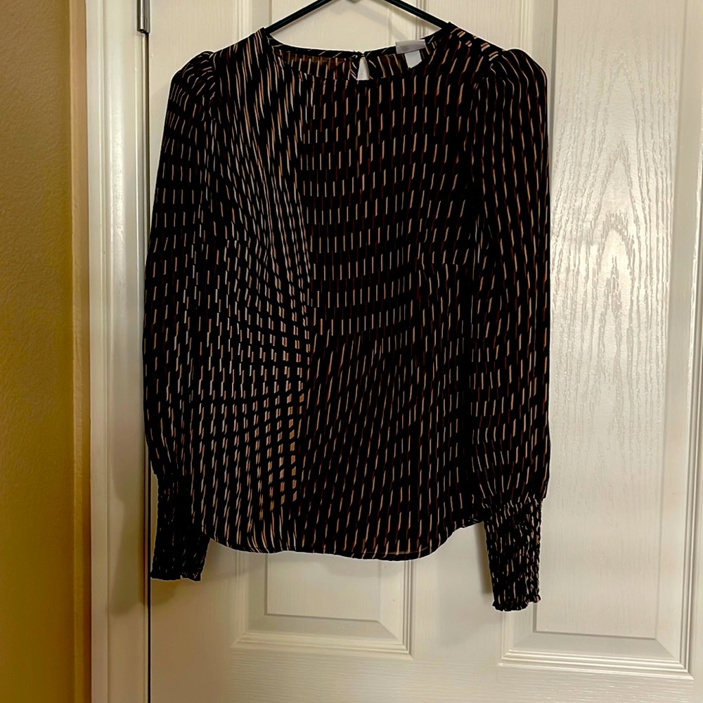 Sheer Blouse